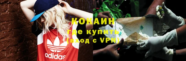 прущие грибы Армянск