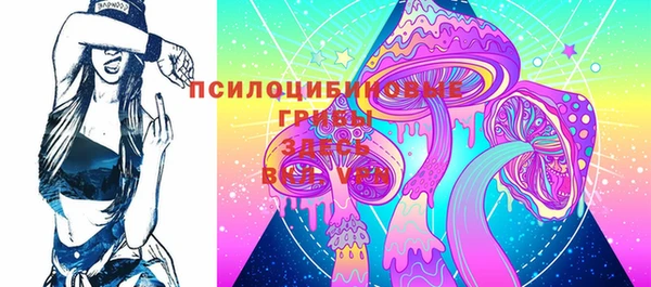 прущие грибы Армянск