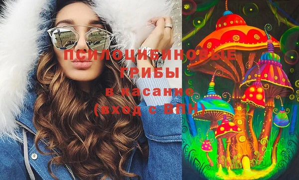 твердый Алексеевка