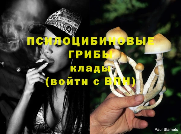 ПСИЛОЦИБИНОВЫЕ ГРИБЫ Балахна