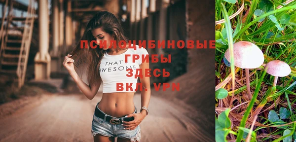 прущие грибы Армянск