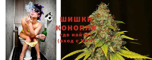 стафф Аркадак
