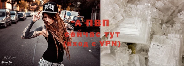 эйфоретик Арсеньев