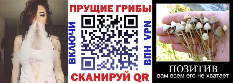 МЕГА как войти  Дно  Псилоцибиновые грибы ЛСД 